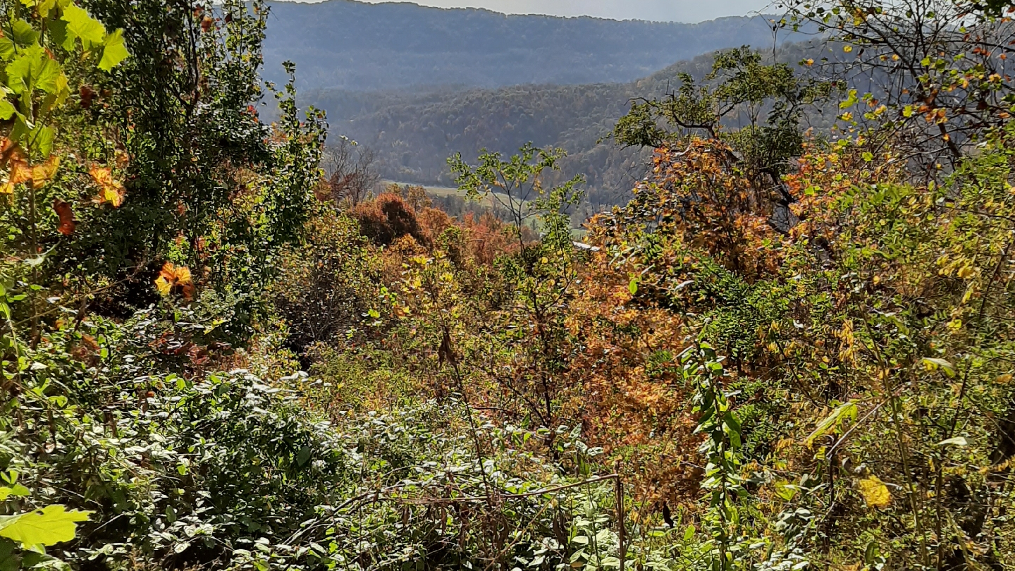 P&S production LLC campsites for SXS