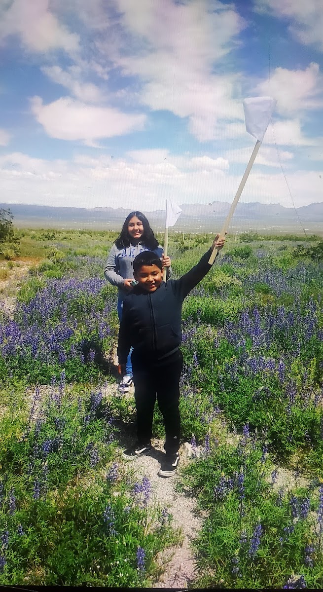 Terreno acres Antonia Rodriguez