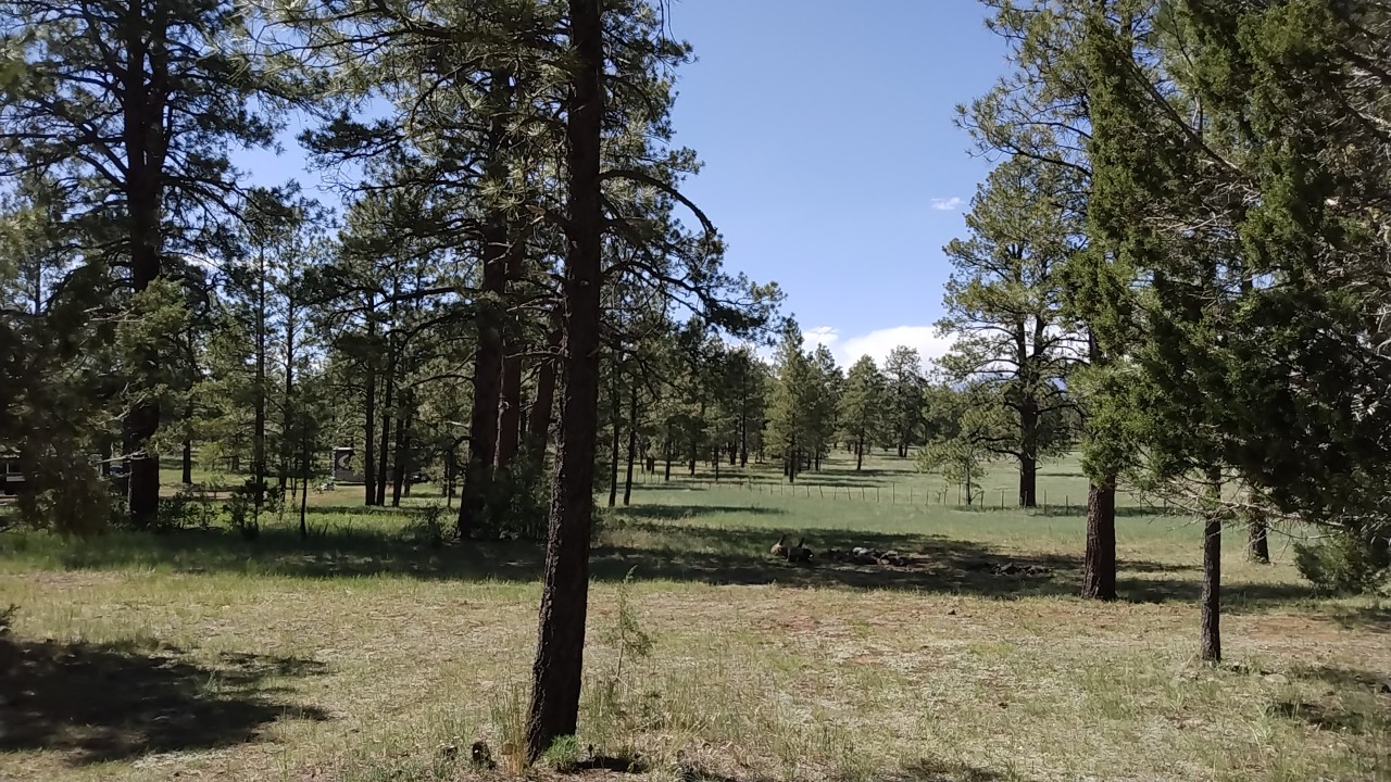 Yankee Designated Dispersed Camping Area