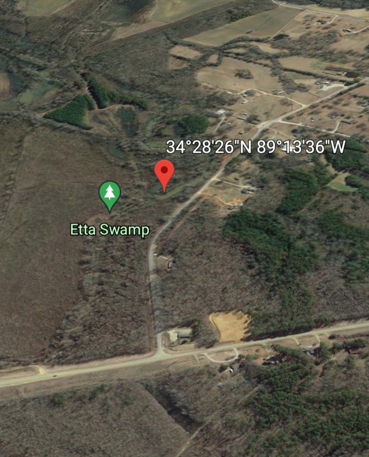 Etta Swamp