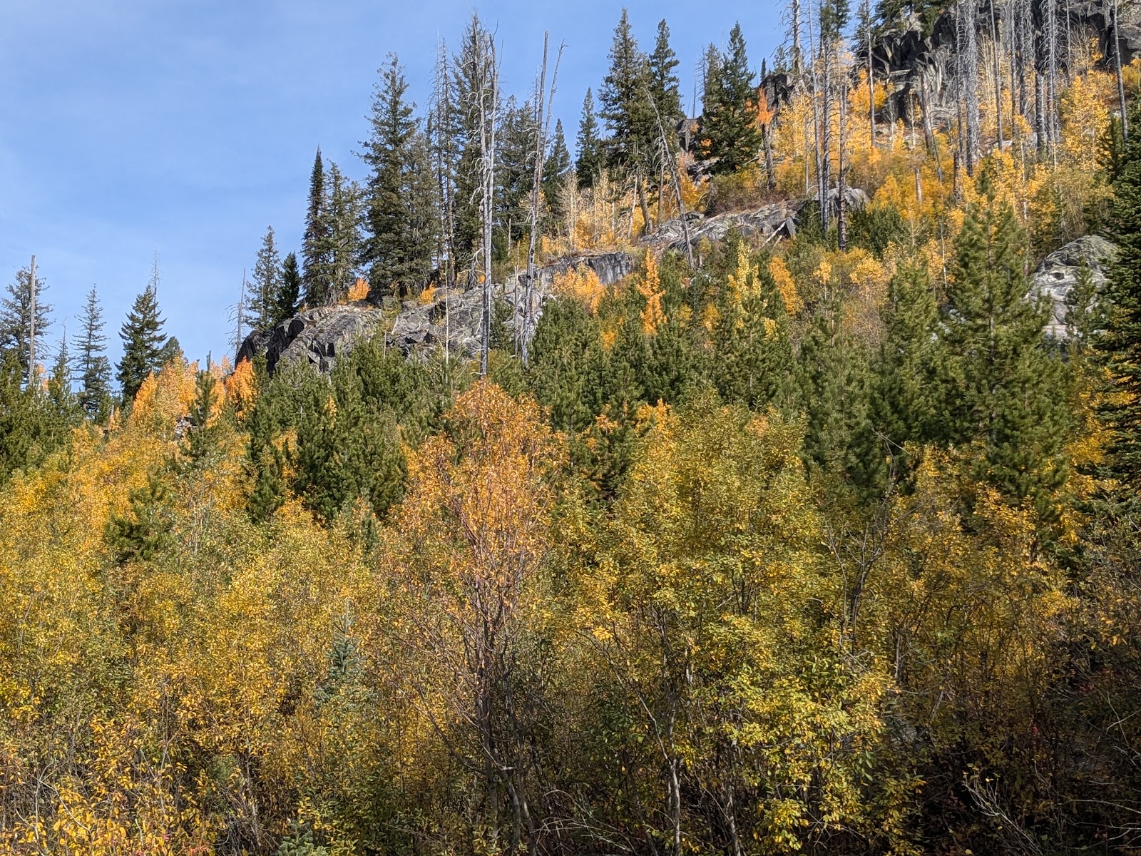 Grouse Group Picnic Site (recgovnpsdata)