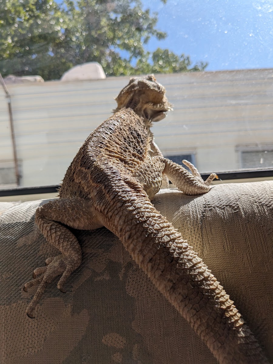 Circle S Campgrounds