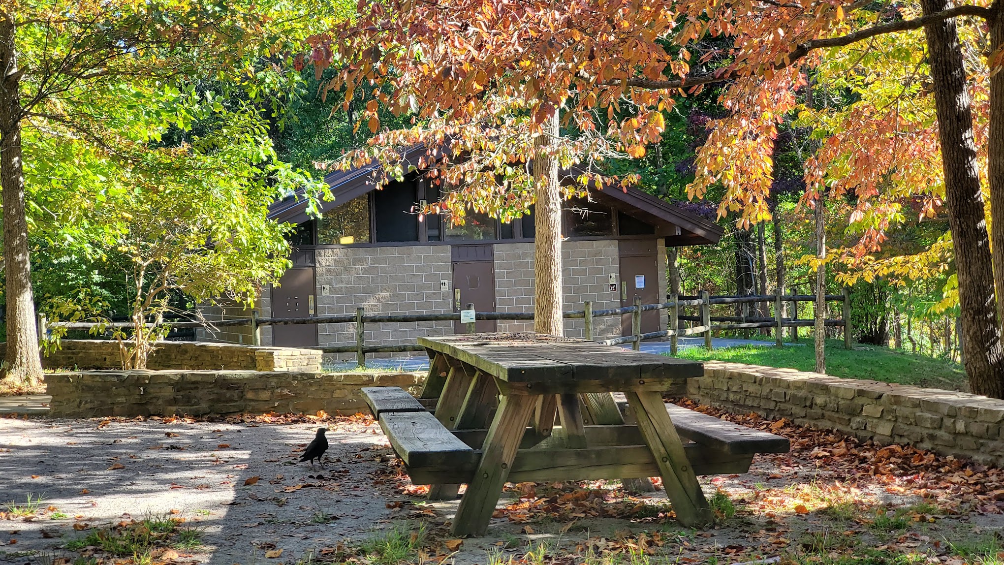 Chilhowee Group Camp