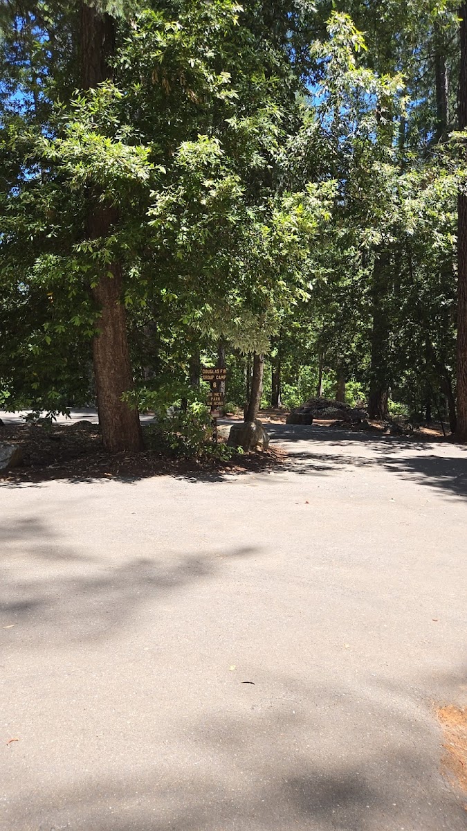 Douglas Fir Group Campground