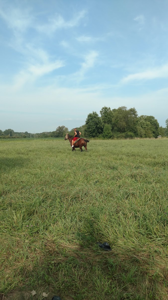 Oakview Mobile Home Estates