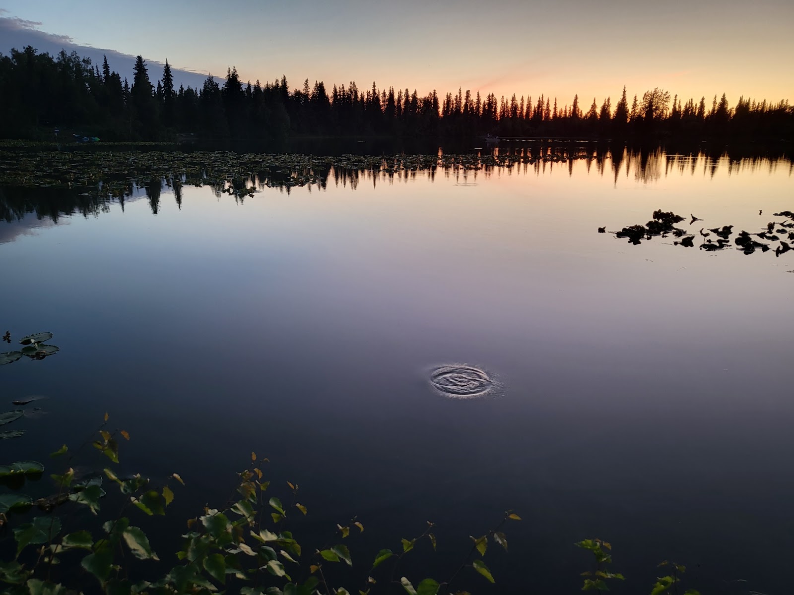 Johnson Lake Campground
