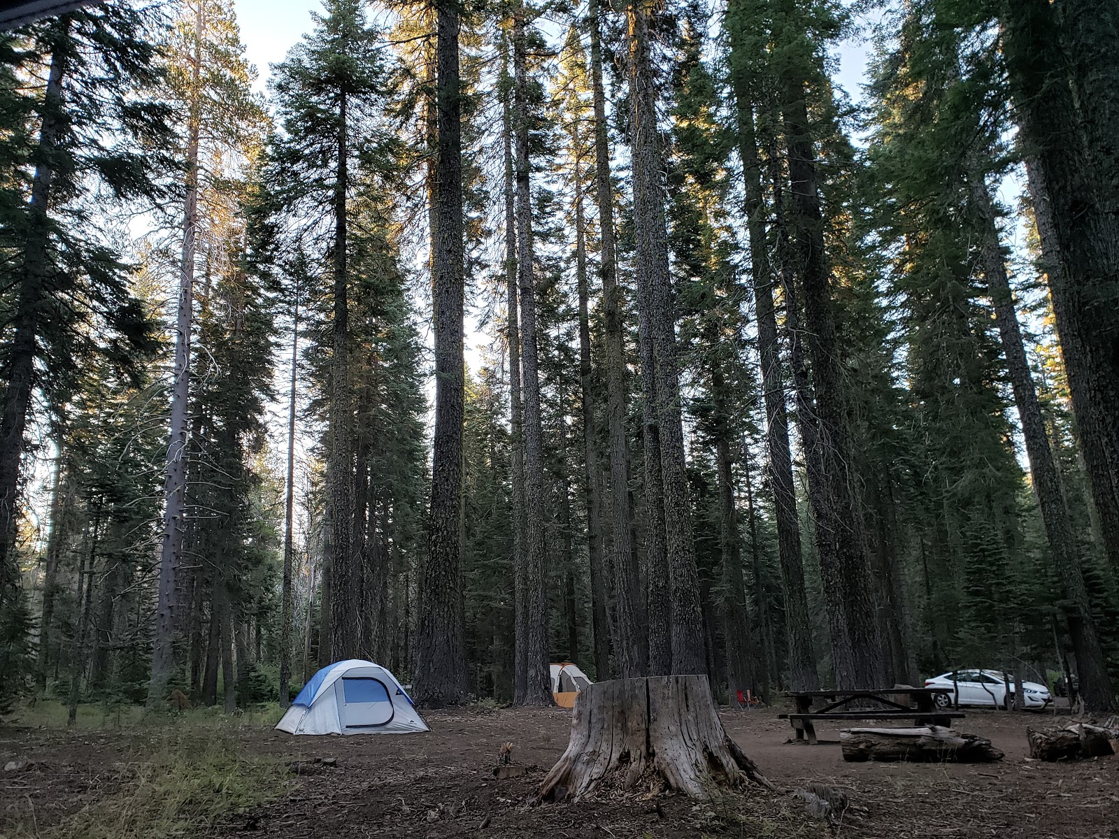 Whitehorse campground