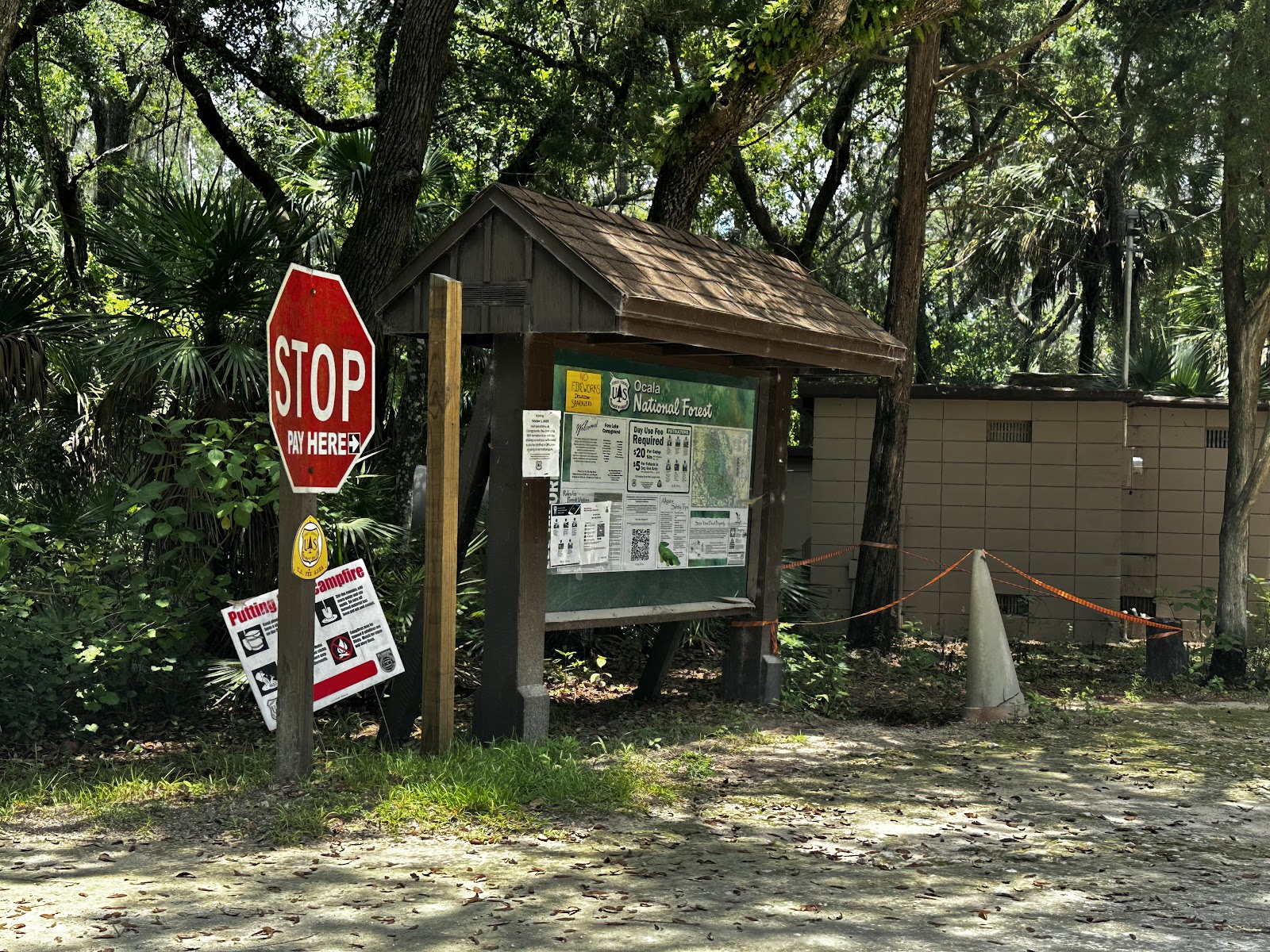 Fore Lake Campground/Silver Springs