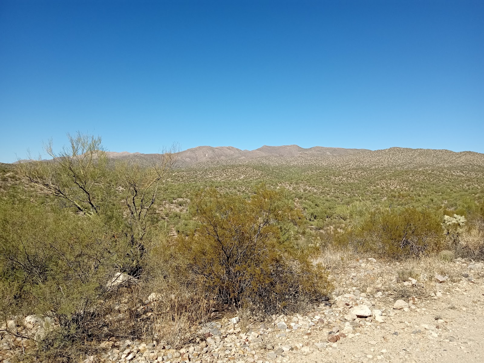 Mescal Mountain OHV Area