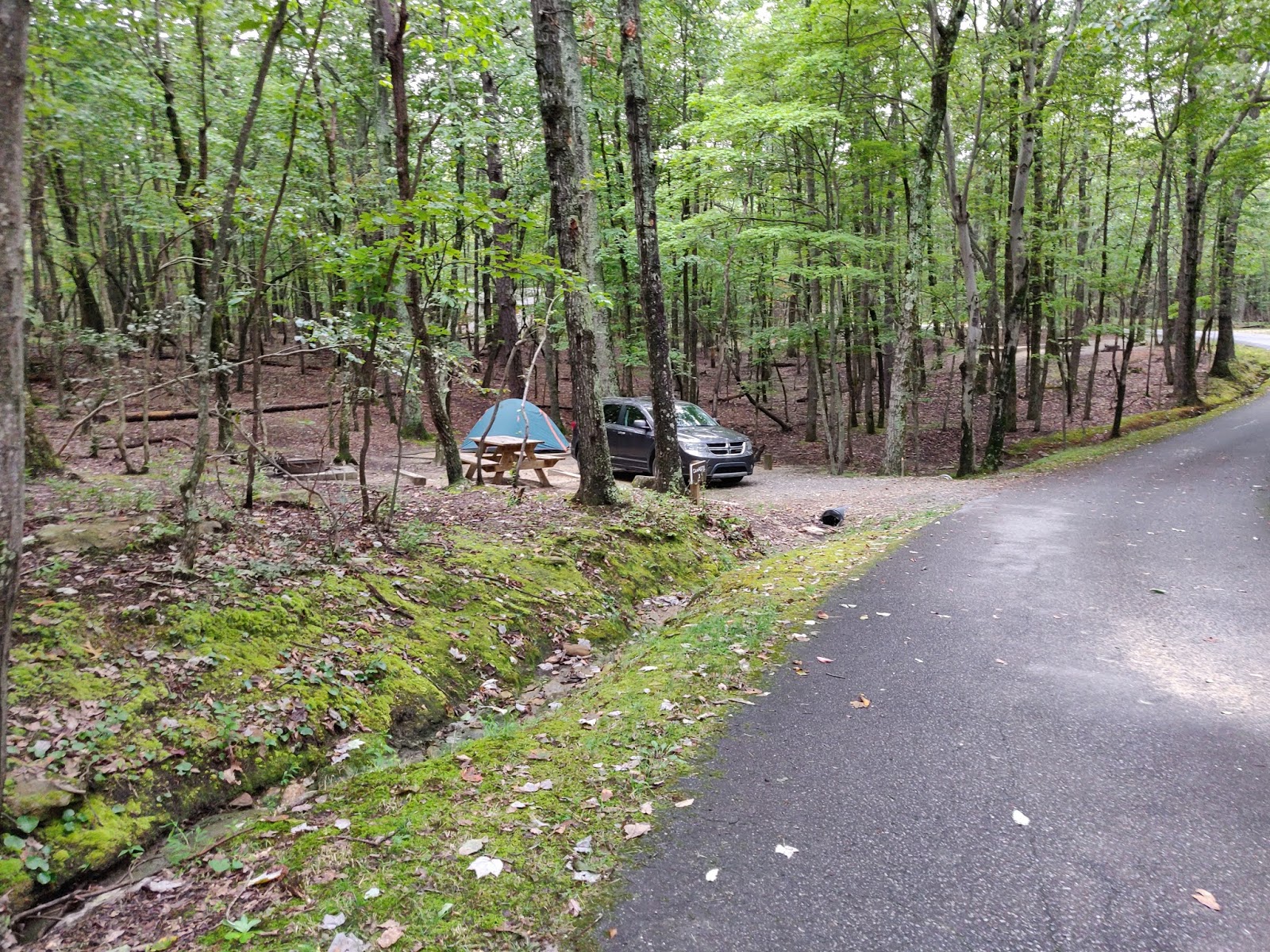 Hanging Rock State Park Campground - Walnut Cove, NC