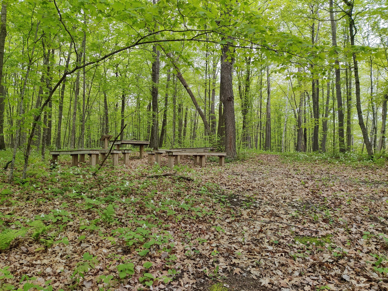 College of Wilderness Knowledge-Birch Bend Camp