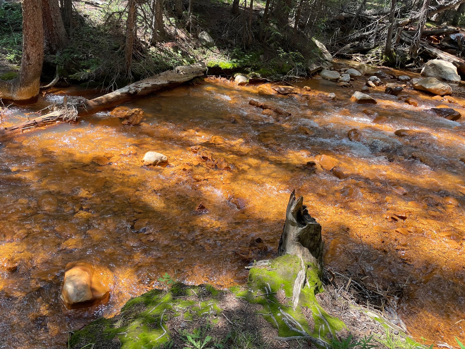 Hall Valley Campground