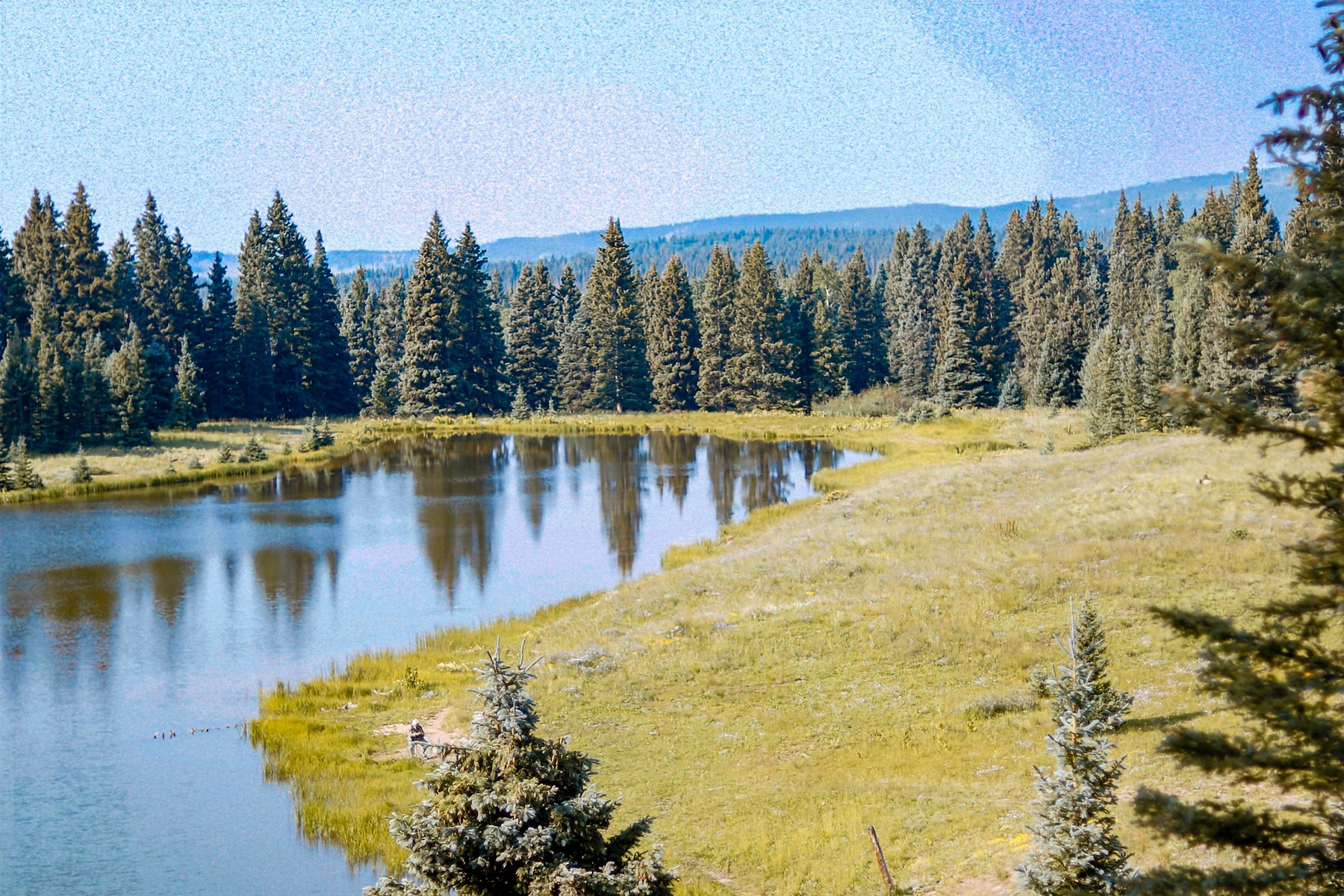 Lower Lagunitas Campground