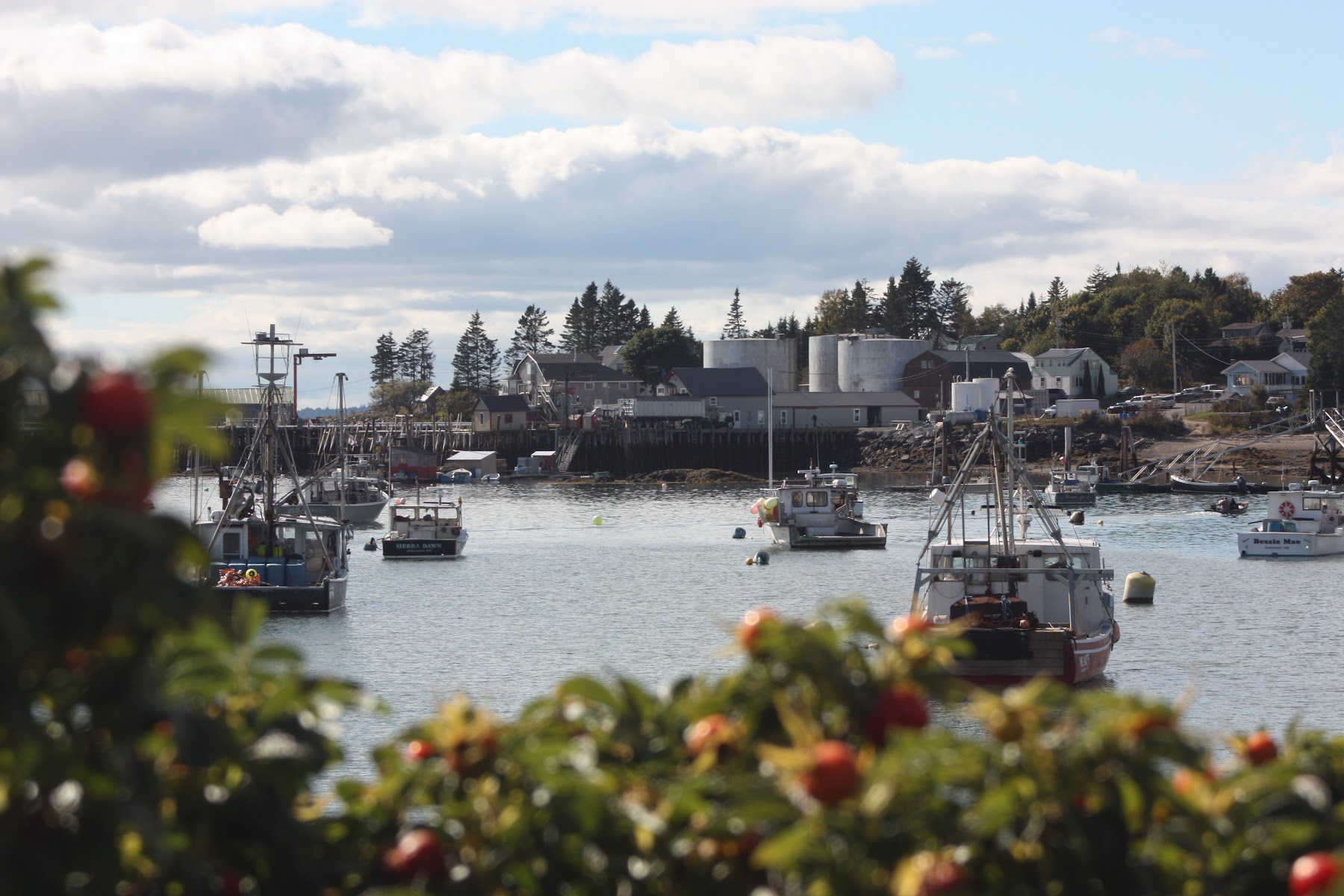 Jonesport Campground