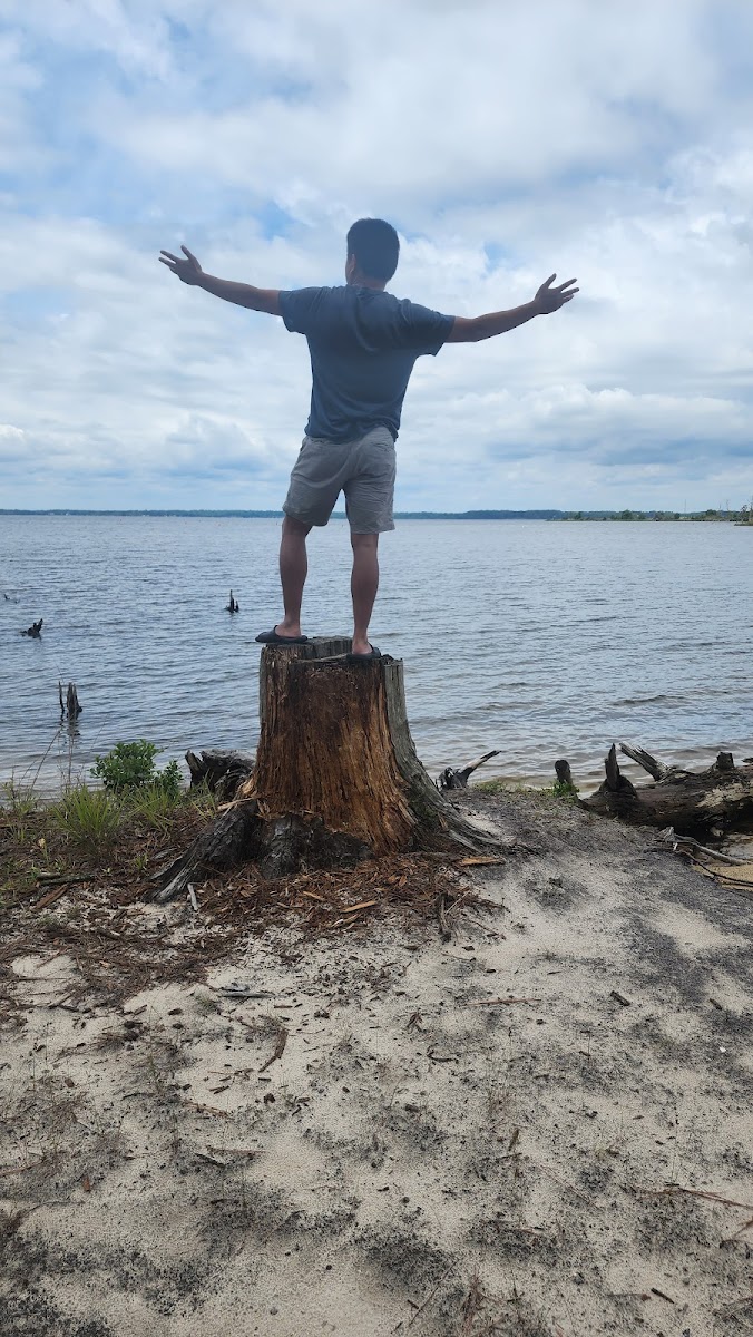 Goose Creek State Park Tent Campground