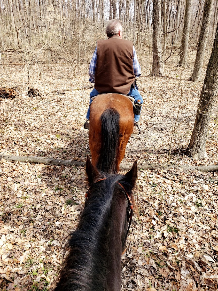 Hueston Woods State Park Horse Camp