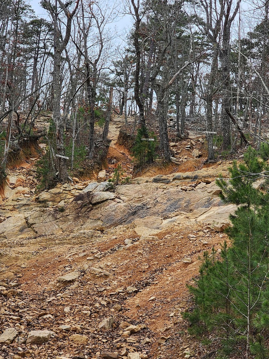 Choccolocco Mountain