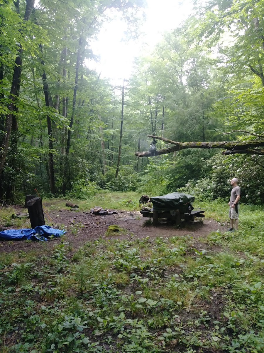 Backcountry Campsite #82