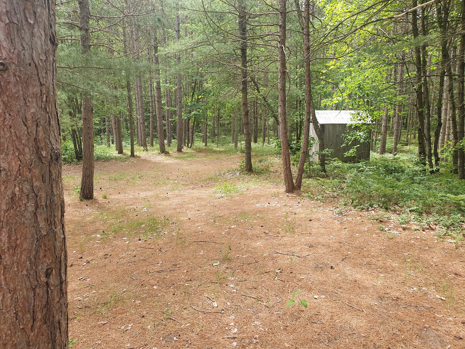 Swan Lake Campsites 2-4