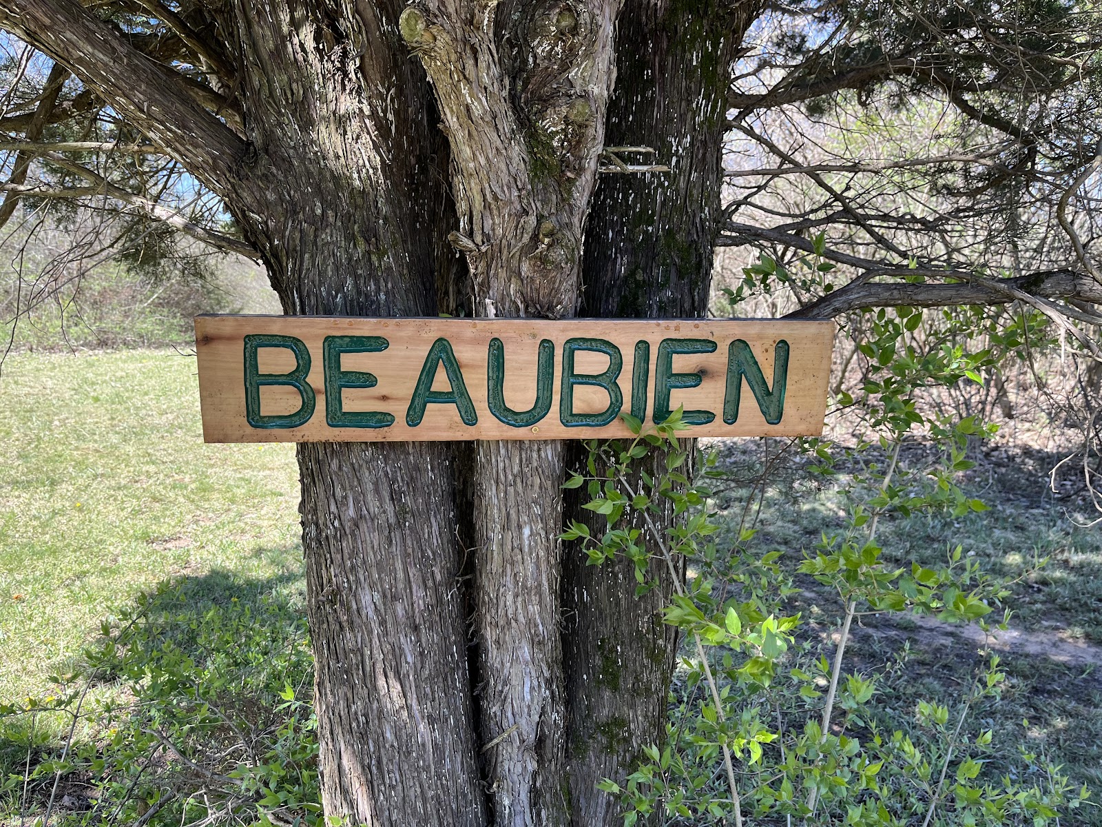 Beaubien Campsite