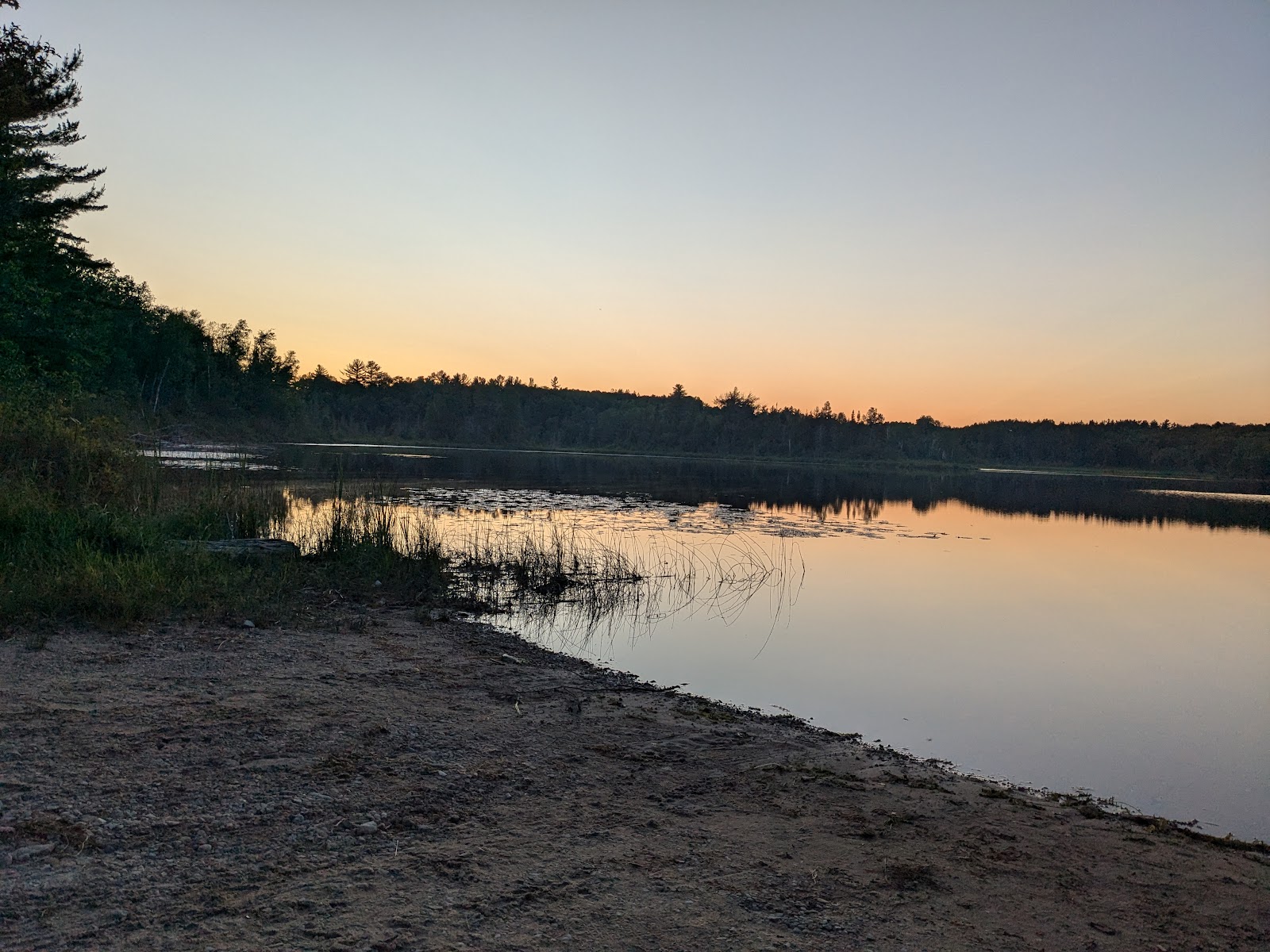Cookson Lake Dispersed Campsite
