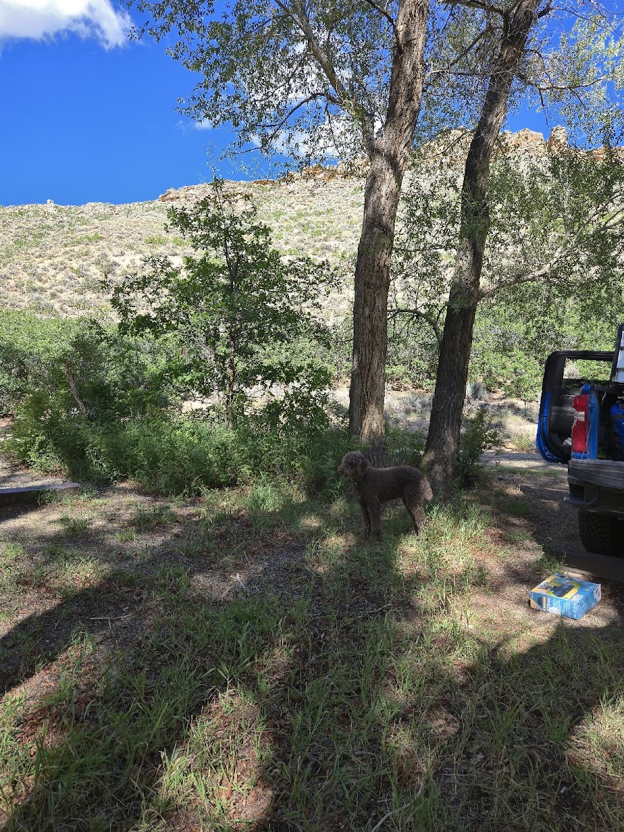Dry Gulch Campground