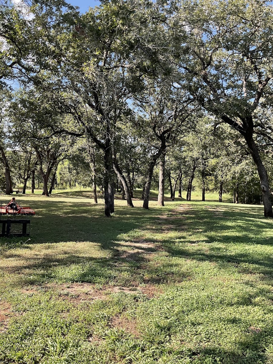 Wild Mustang RV Park & Campgrounds