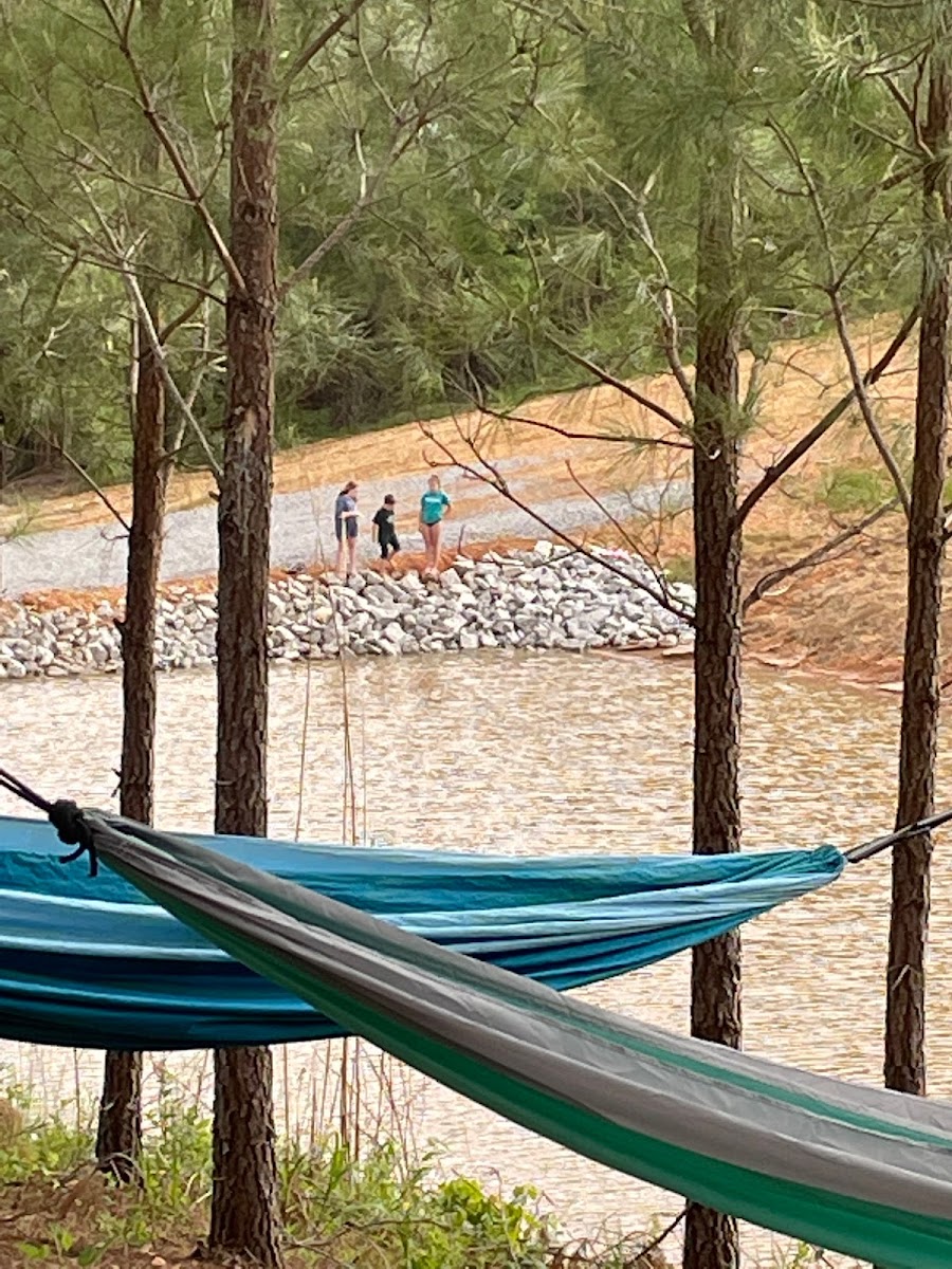 Timberland Trails Resort