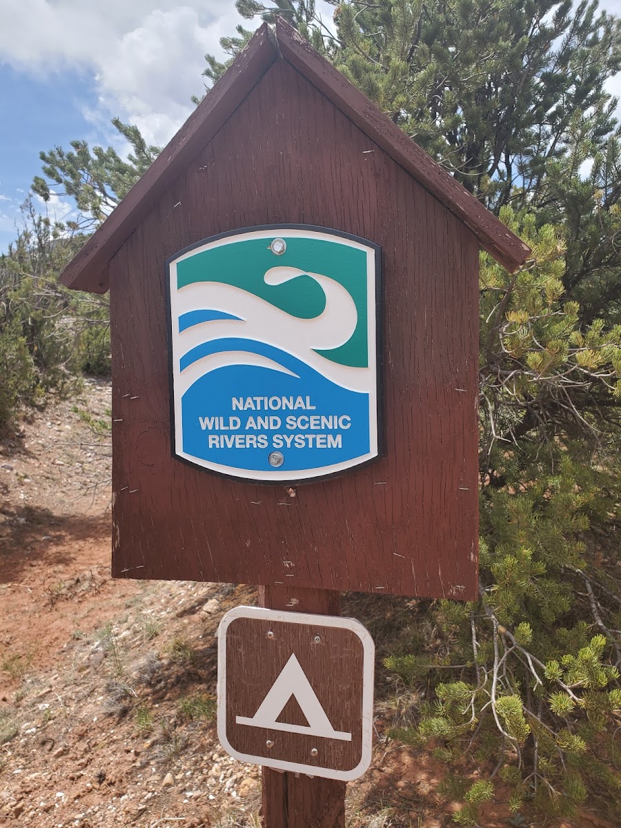 Whirlpool, Dispersed Camping, Coyote Ranger District, Santa Fe National Forest