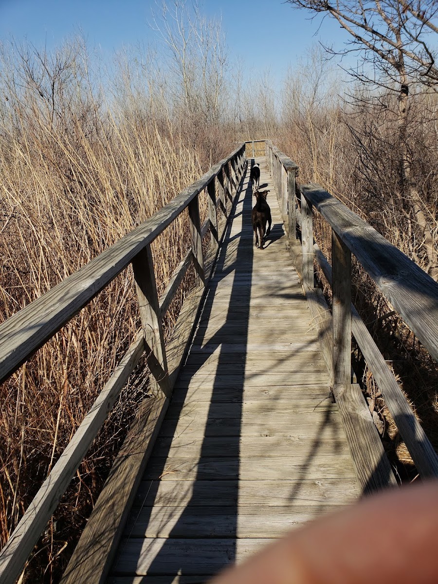 Lake Marvin Campground AKA Black Kettle Campground