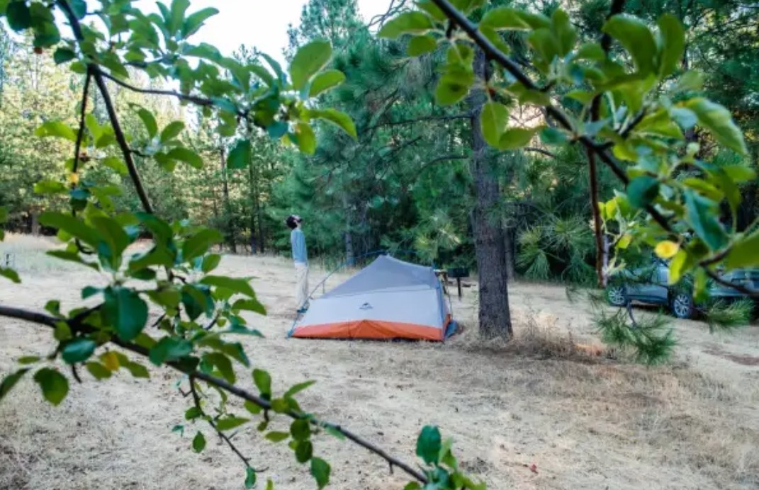 Lazy G Ranch Creekside Camping Retreat