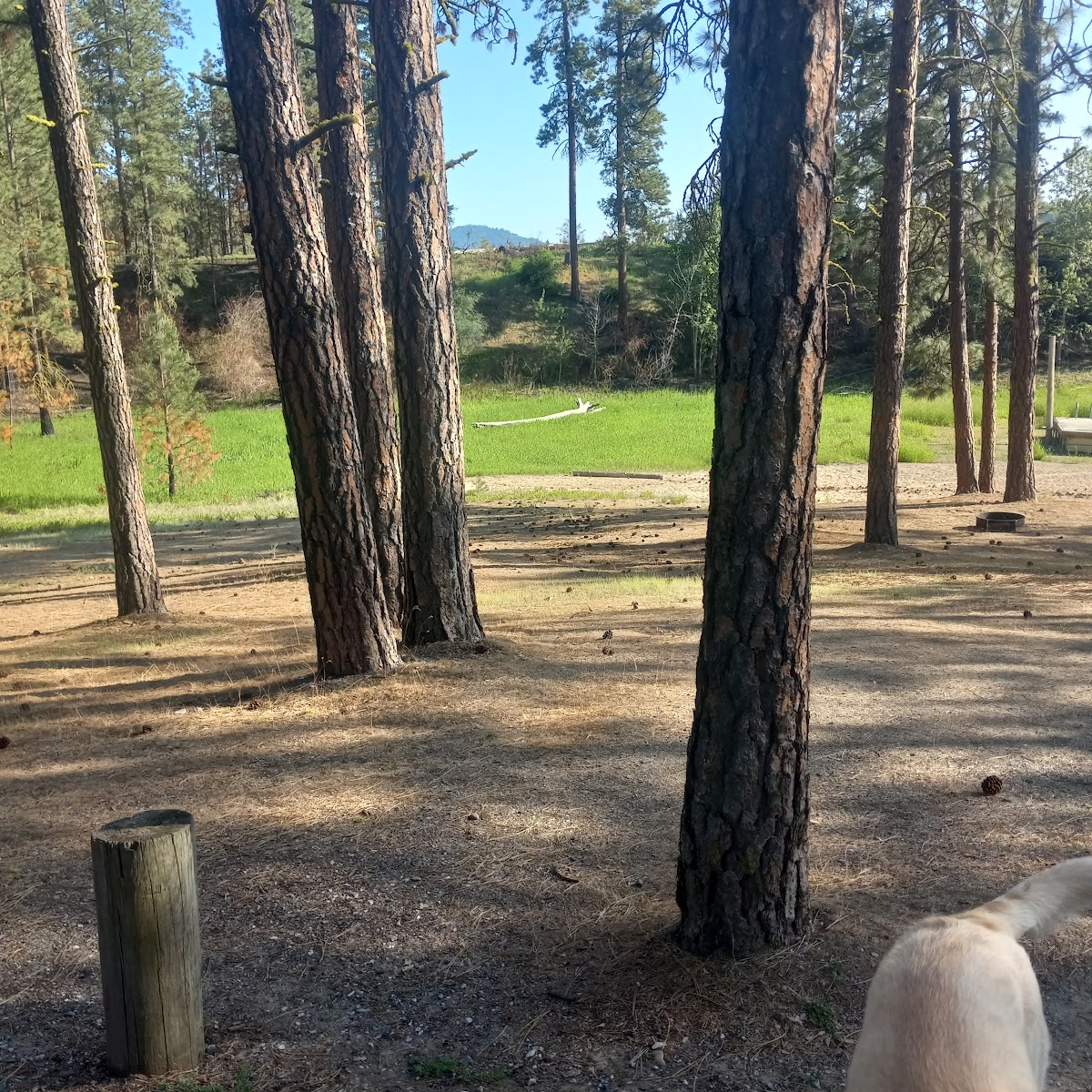 Cloverleaf Campground