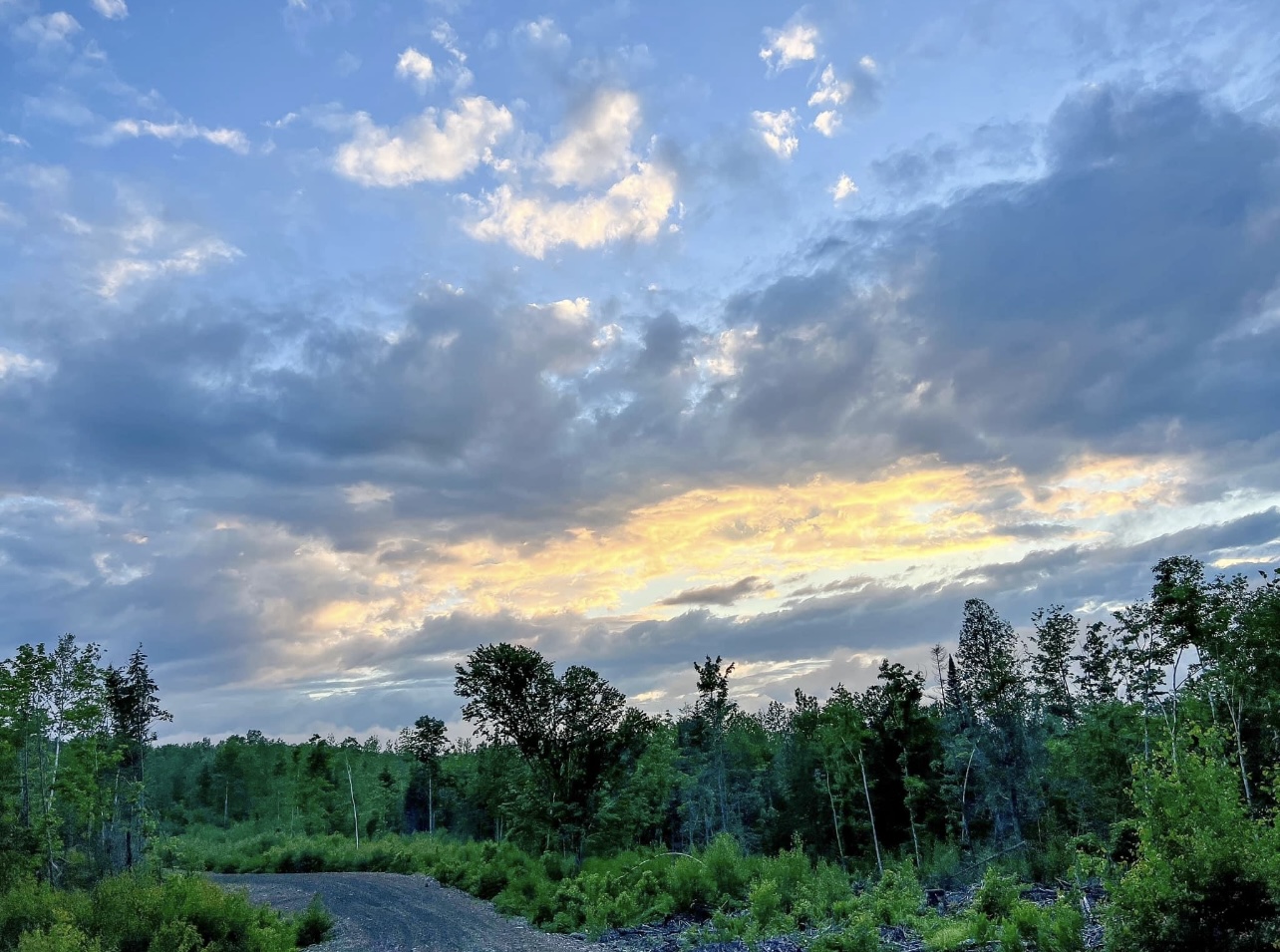 Crystal Brook Camping