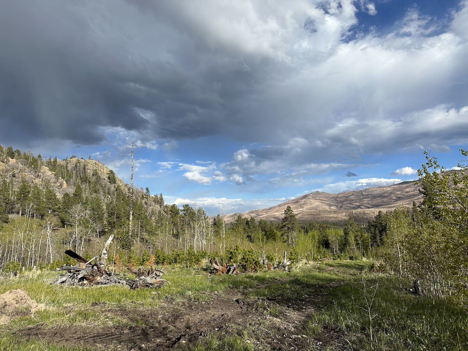 Camping at Hammond Ranch