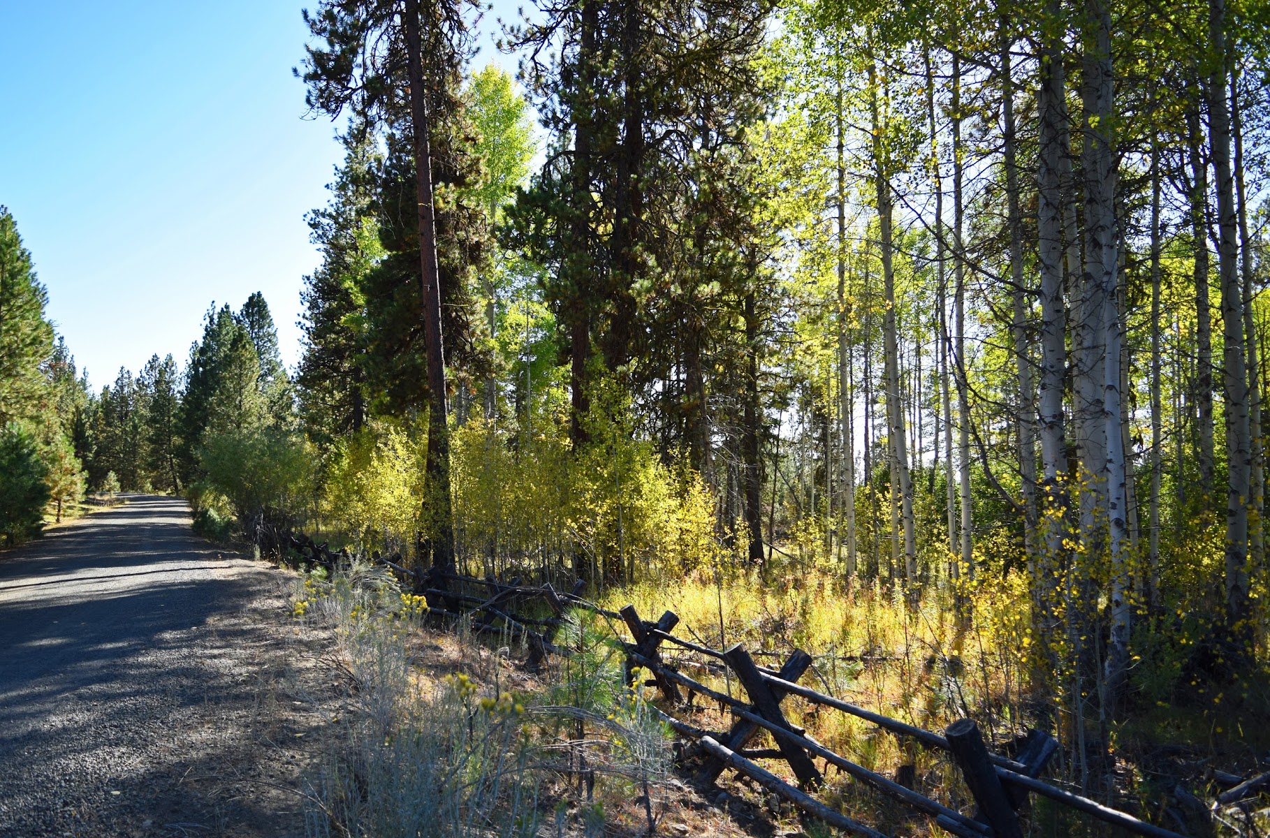 Twin Springs Campground