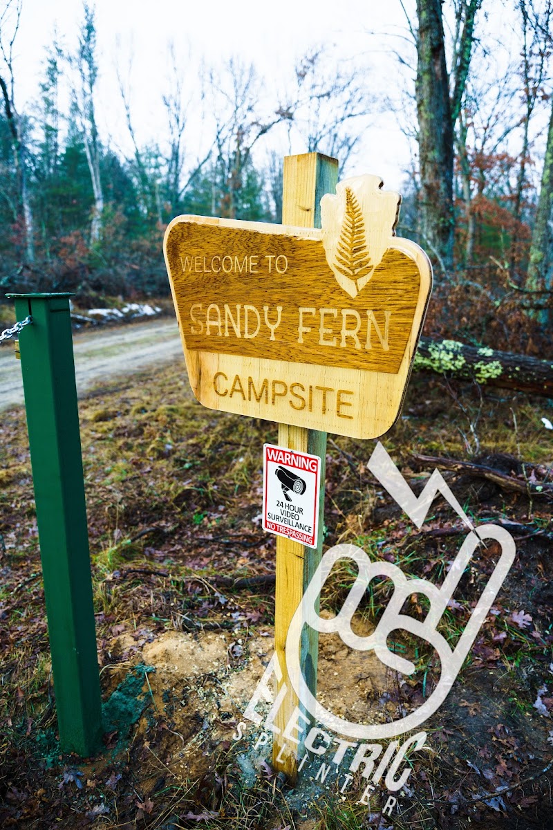 Sandy Fern Campsite