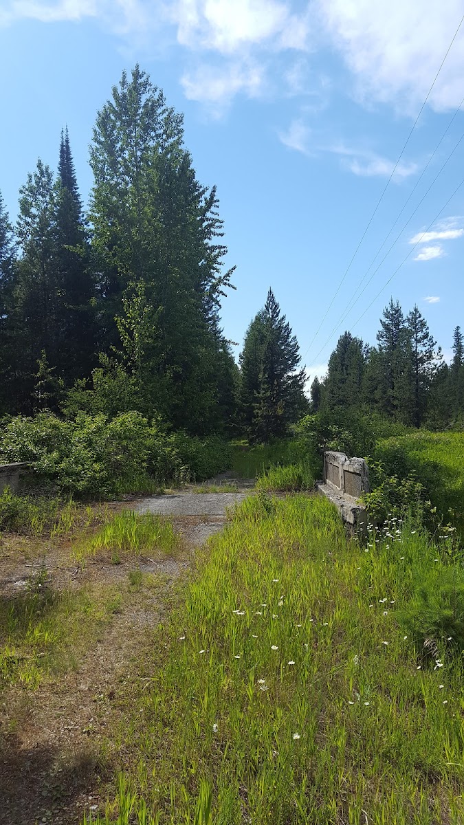 Spring Creek Campground