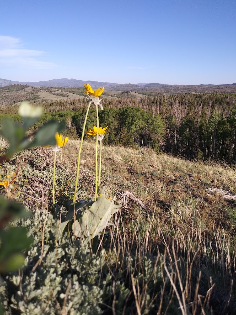 Bottle Creek Campground