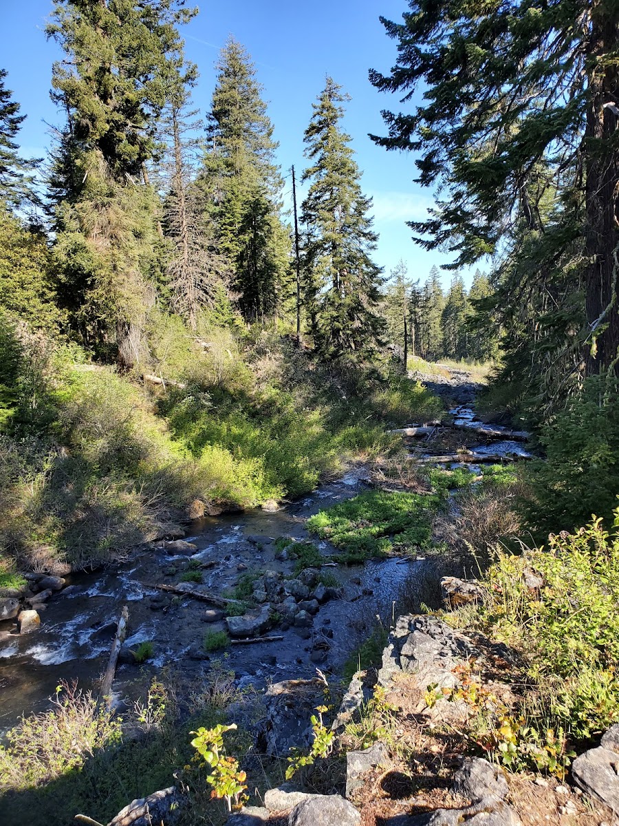 North Fork Campground