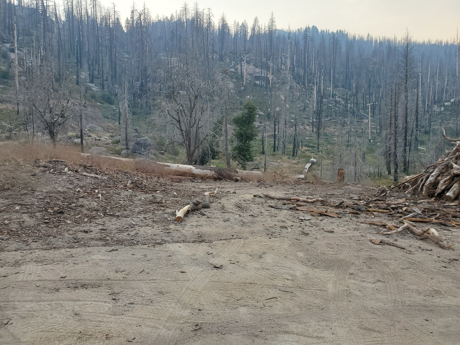 Tiger Flat Campground