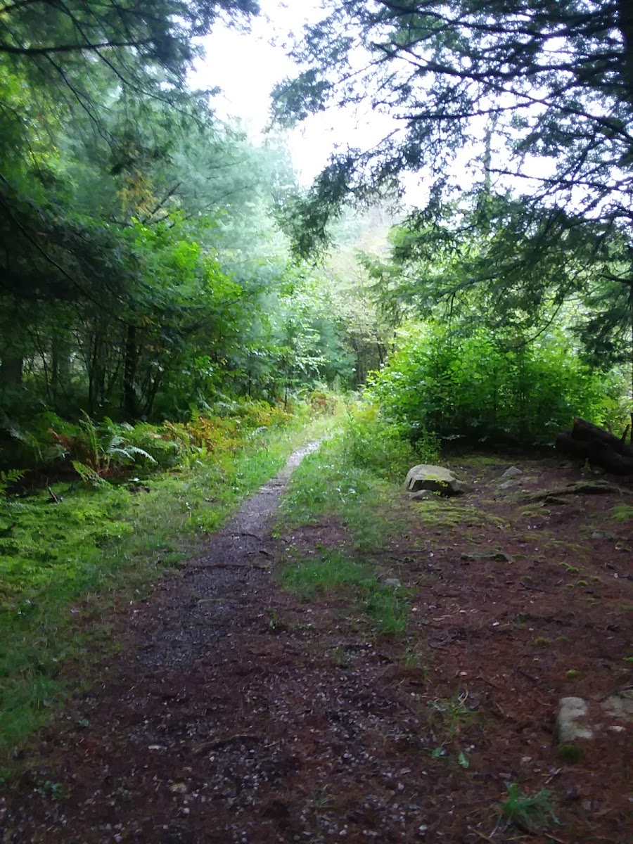 Kelly Pines Equestrian Campground