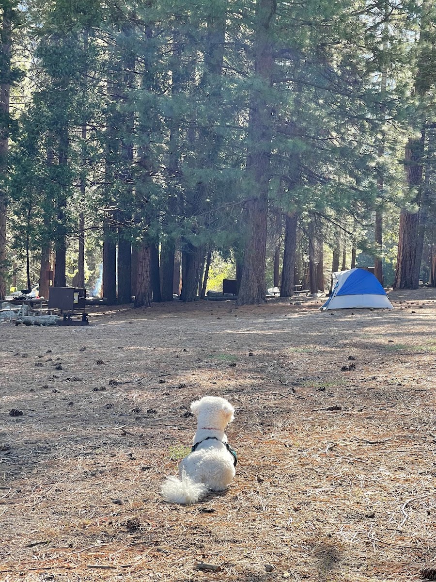 Sentinel Campground