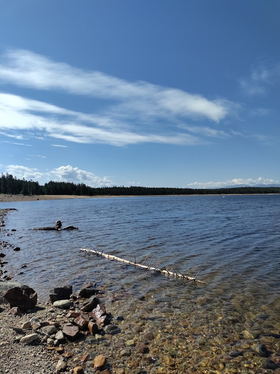 Tabor Campground - Leadville, CO