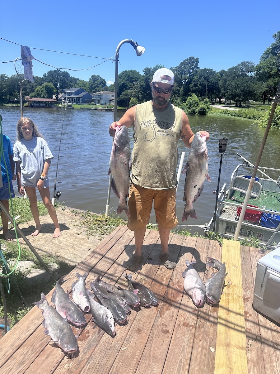 Willis RV Park and Extended Stay Cabins