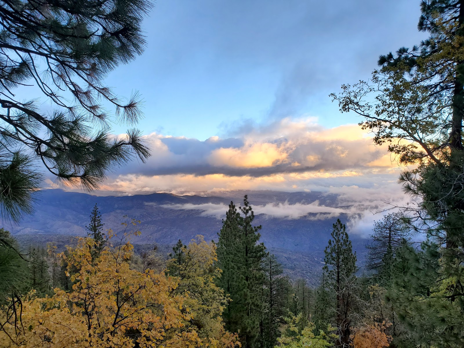 Twin Pines Campground