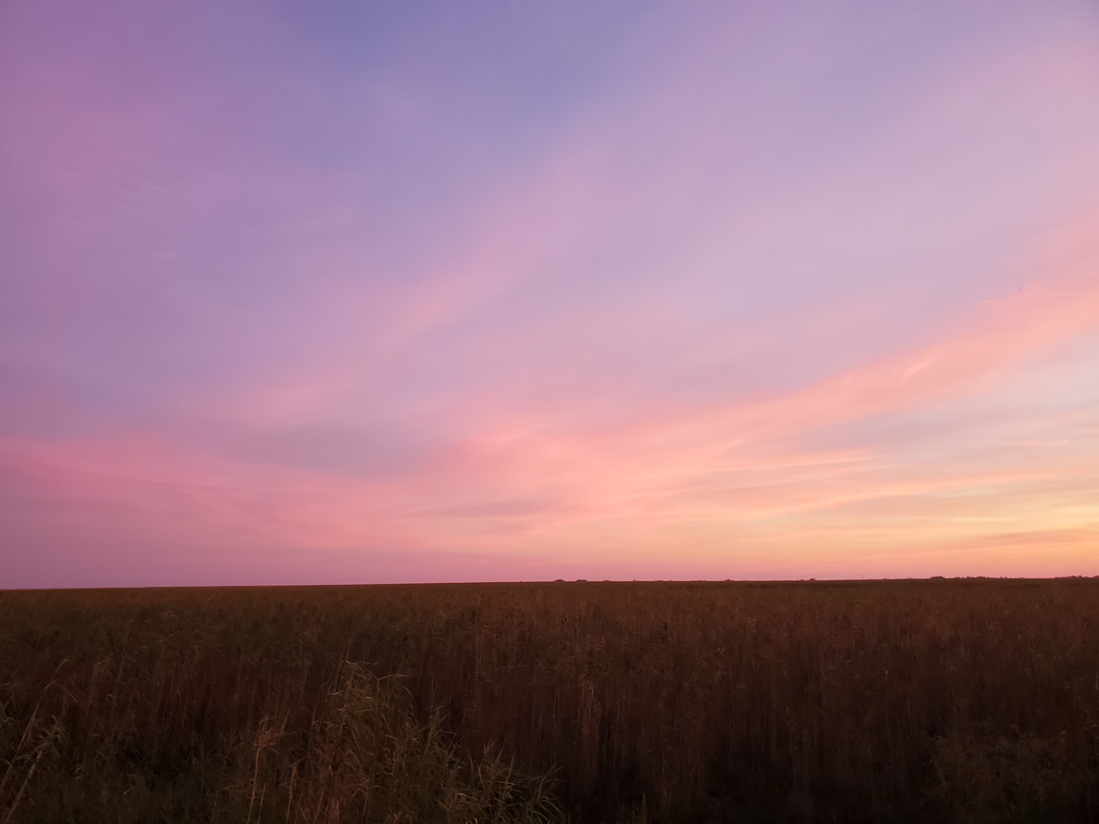 Southeast Pass Campground