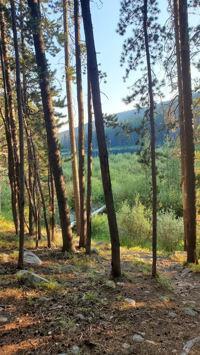 Lower Seymour Lake Campground