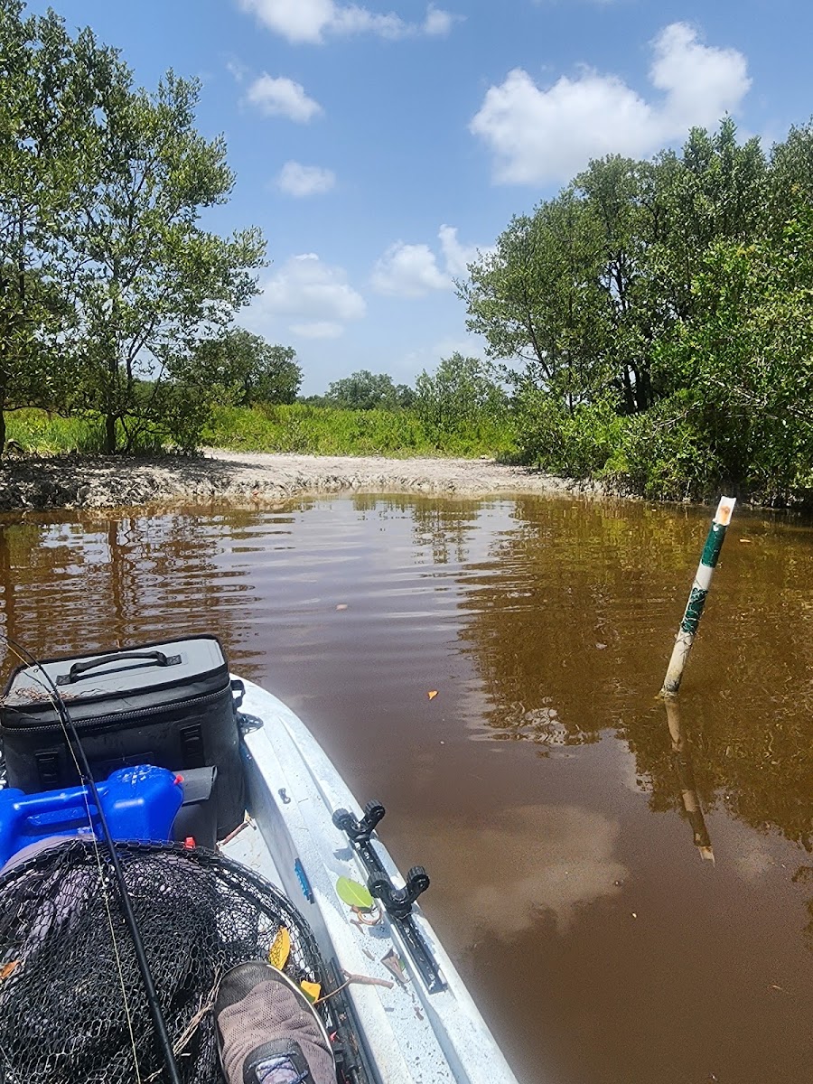 Alligator Creek Campsite