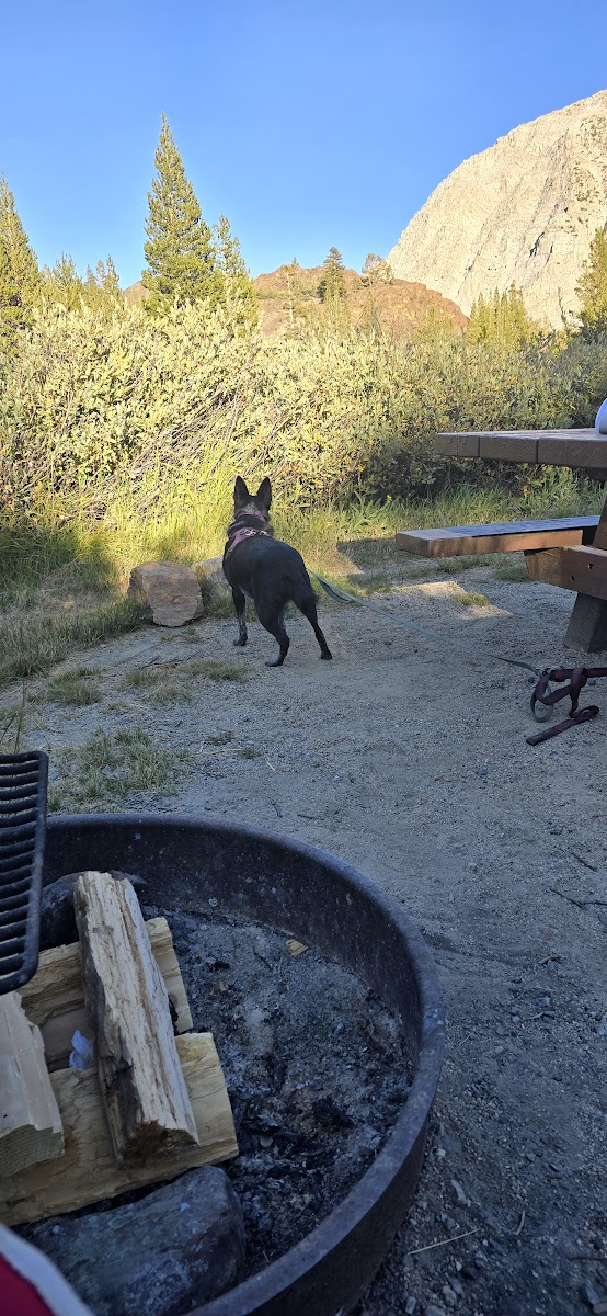 Ellery Lake Campground