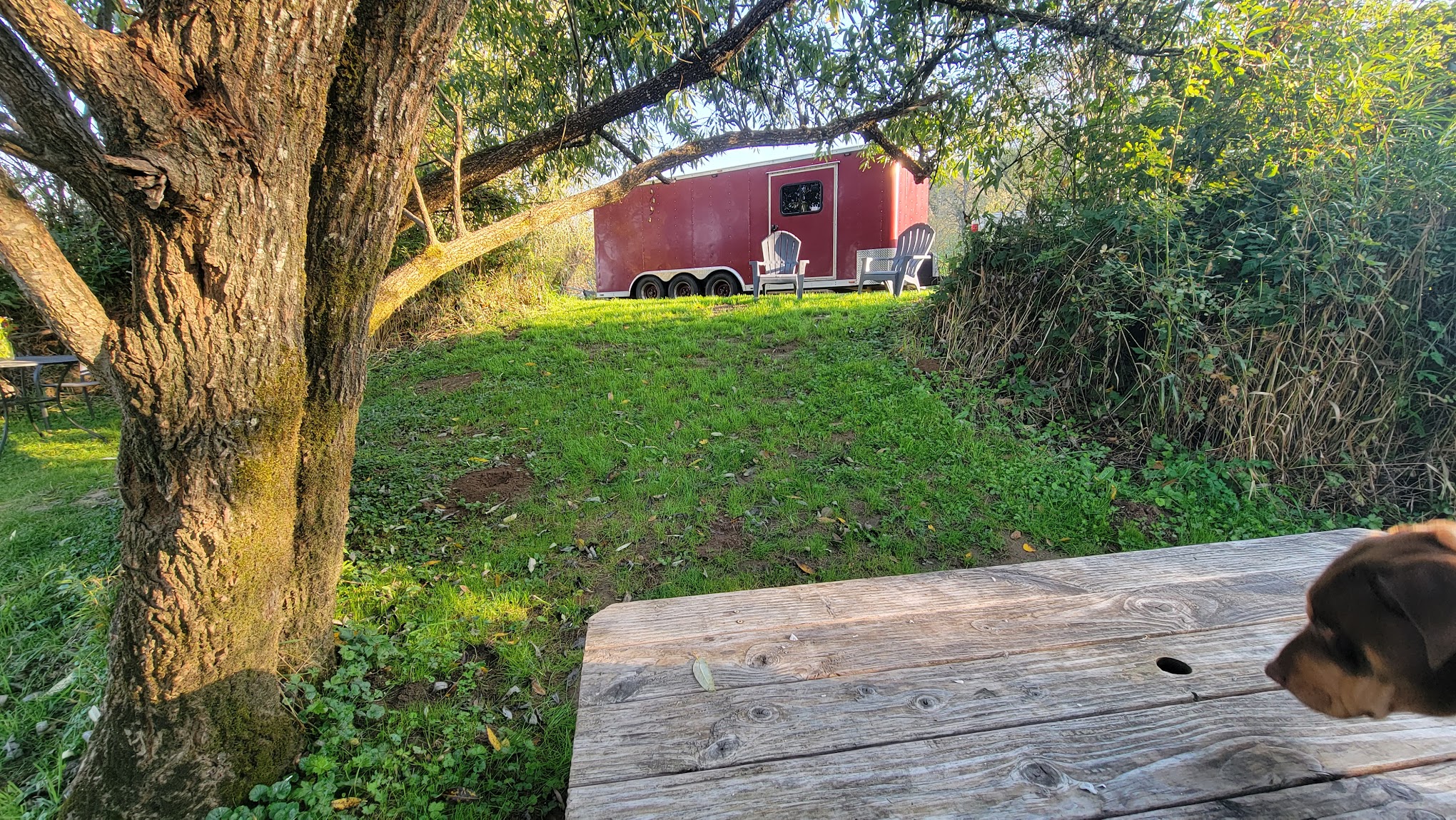 Bar UK River Ranch Camp and Ride